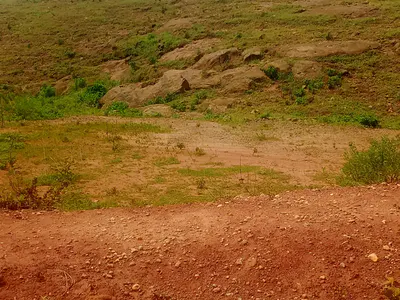 250SQM of Estate Plot