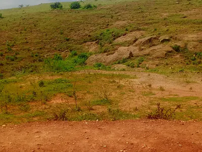 350SQM of Estate Plot