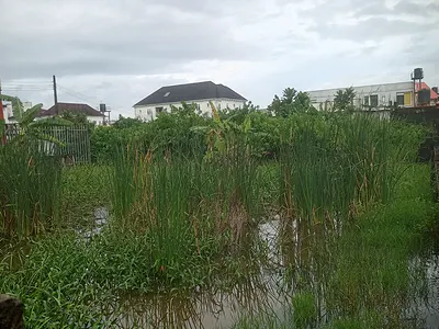 Land