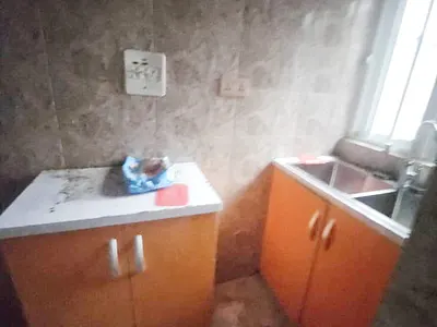 A Well Maintained Spacious Mini Flat