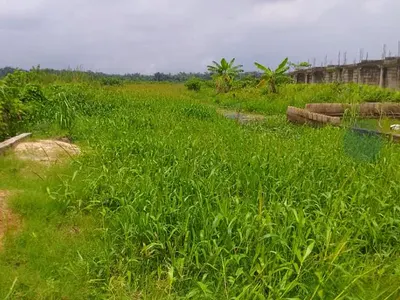 2 Acres of Land