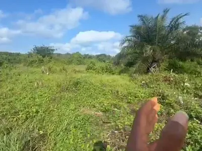 Land Measuring 400SQM