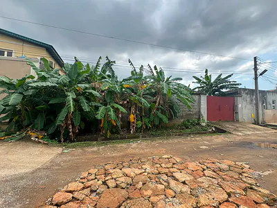 Standard Plot