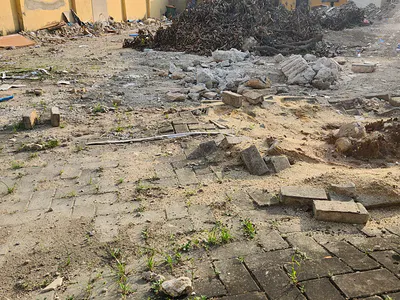Bare Land