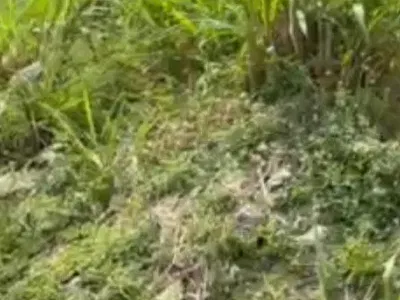 Premium Plot of Land