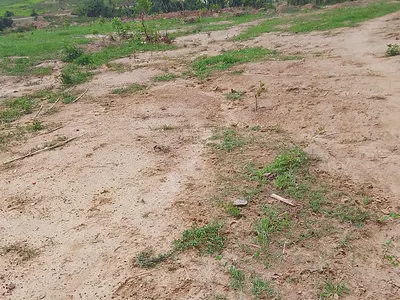 180SQM of Estate Plot
