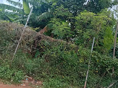 960SQM of Land