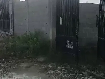 Half Plot of Land