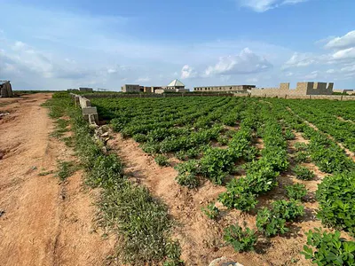 Residential Plot