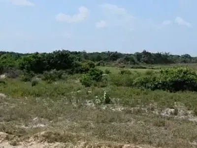 Affordable C of O Land