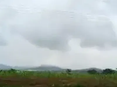 15 Hectares of Land