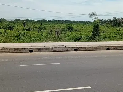 Commercial Acres of Dry, Flat and Elevated Topography on the Express
