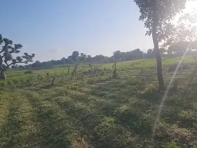 1.06 Ha Commercial Plot at Idu