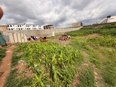 16.5 Acres Prime Land
