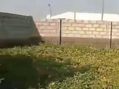100 Hectares of Land