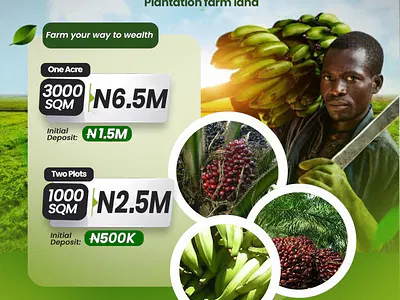 Plantain Farm Land with Annual Roi