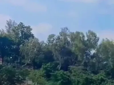 1000 SQM of Land
