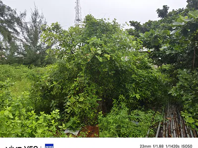 Approximately 8, 000M2 (2 Acres), Dry, Table, Fully Fenced & Gated Land,