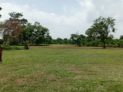 100 Acres of Land