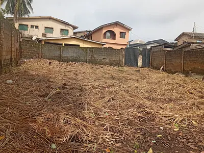 300SQM of Dry Land