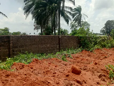 3 Acres and 2 Plots of Fenced Land with C of O