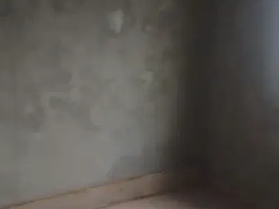 A Decent Newly Renovated Mini Flat