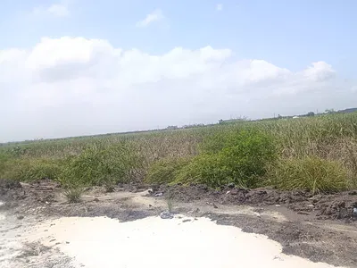 Fourty Plots of Land Perfect for Estate and Developers