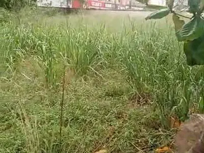 300SQM Land