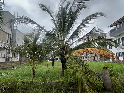 450SQM Land Victory Park Estate