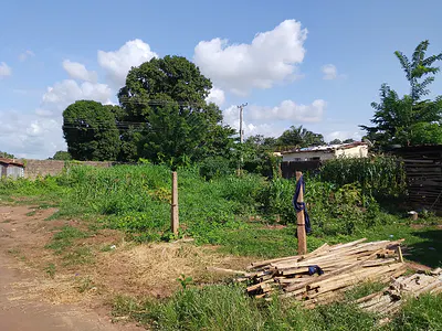 Land