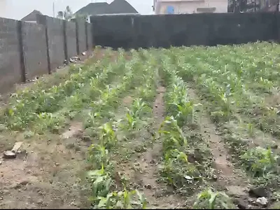 450SQM, Residential, C of O, Estate Plot
