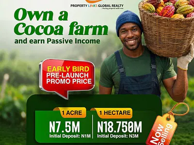 Invest in Cocoa Farm Estate