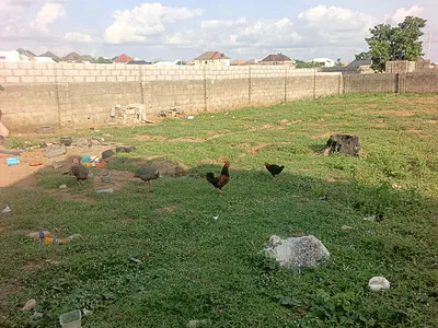 Residential Land with Fence in Lugbe. Size: 600SQM: