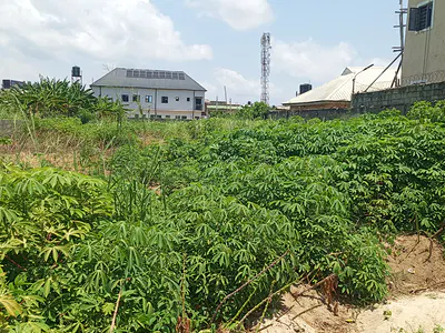 Dry and Prime 2 Plot of Land in an Estate