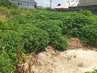Dry and Prime 2plot of Land