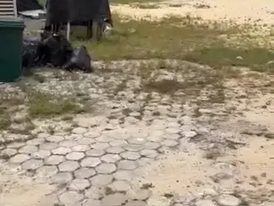 Rare Investment: Exclusive Land