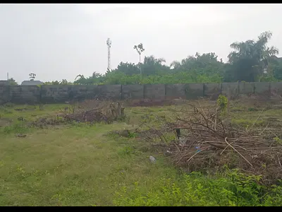 3 Plots of Land