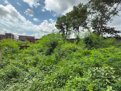 Premium 780SQM Residential Plot -- Carlton Gate Estate.