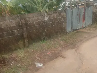 Dry Full Plot of Land