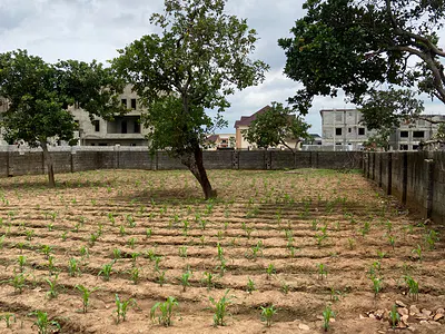 Plot of Land