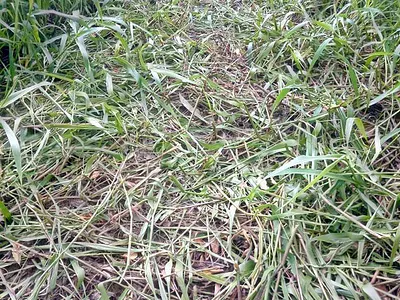 Acres for Sale