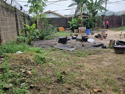Standard Half Plot of Land