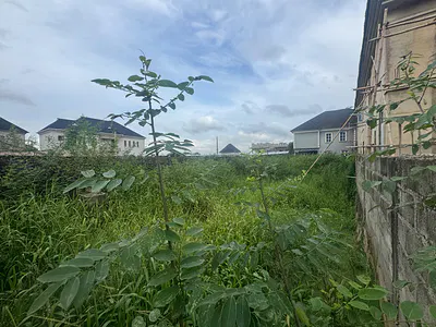 Land