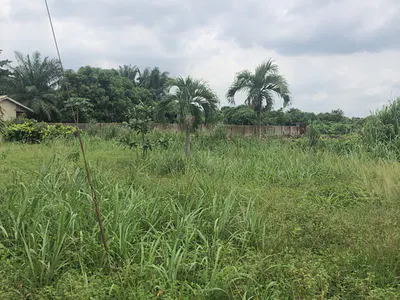 30 Acres of Land with C of O