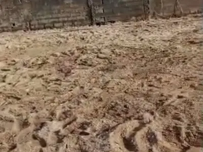 1000 Square Meter of Land