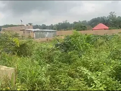 A Plot of Land