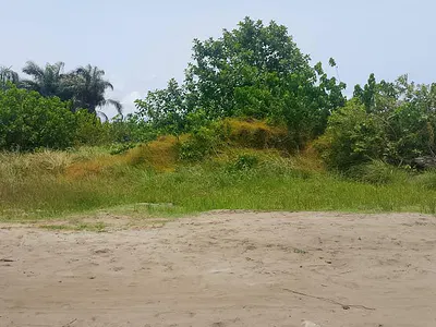 Prime Estate Lands -Plus Lagos