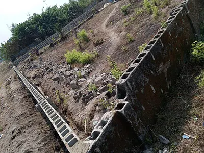 60 Hectares of Land