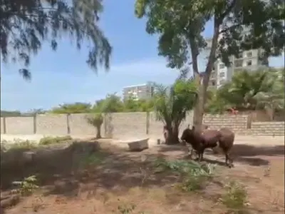 Premium Plot of Land