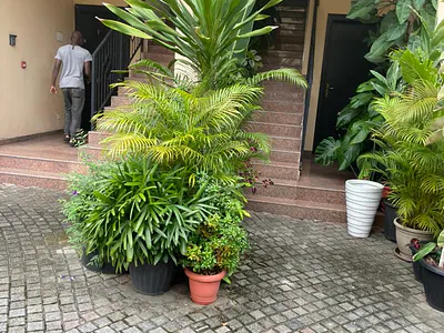 A Fully Serviced 4 Bedroom Terrace Duplex with a Room BQ